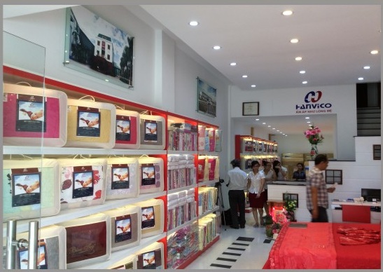 Nội thất showroom